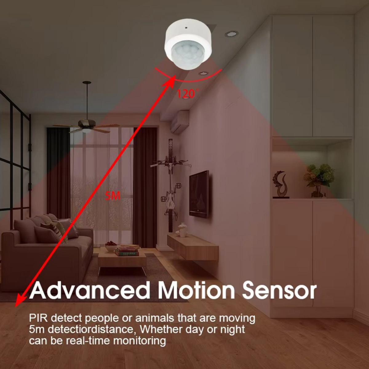 Zigbee PIR-Bewegungssensor, In – Smart Home Security Bewertung und Preis