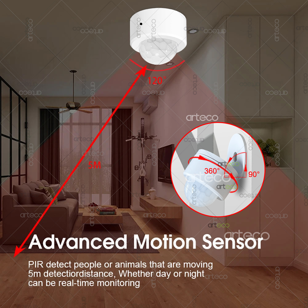 Ewelink Zigbee PIR-Bewegungsse – Smart Home Security Bewertung und Preis