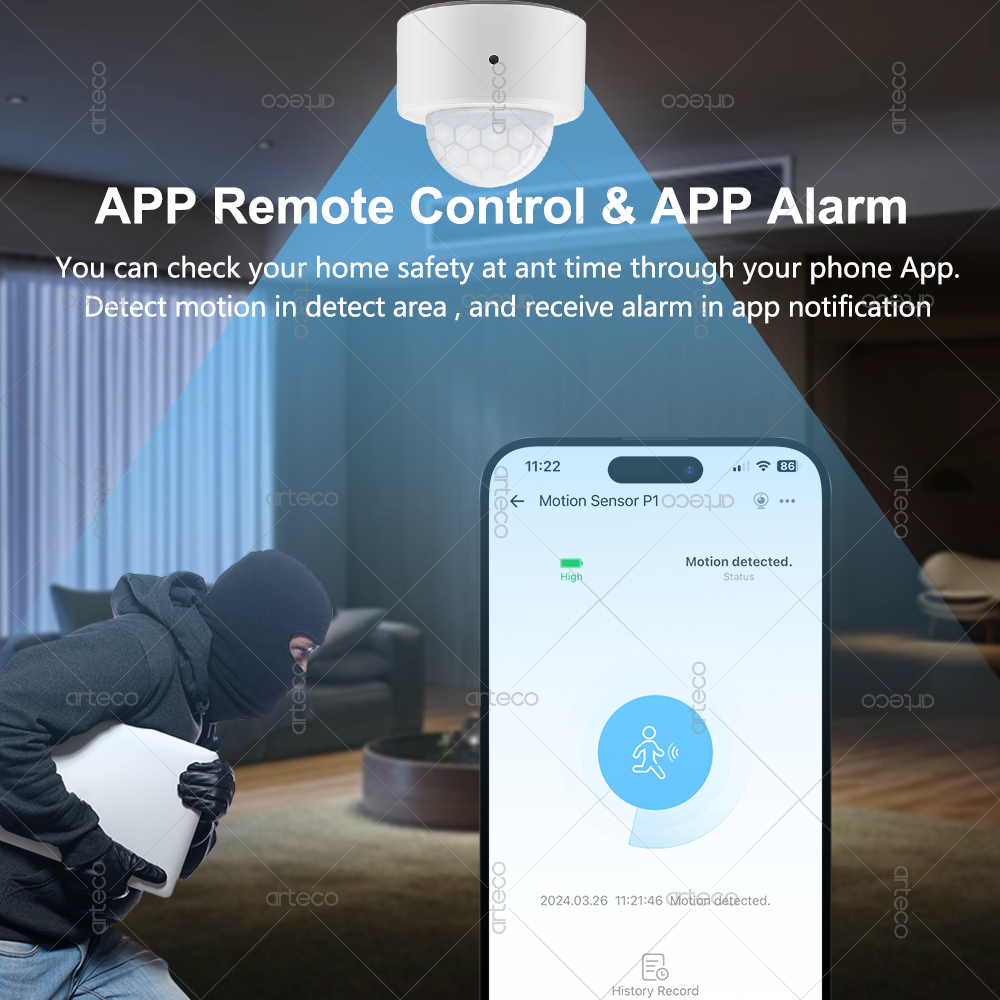 Ewelink Zigbee PIR-Bewegungsse – Smart Home Security Bewertung und Preis