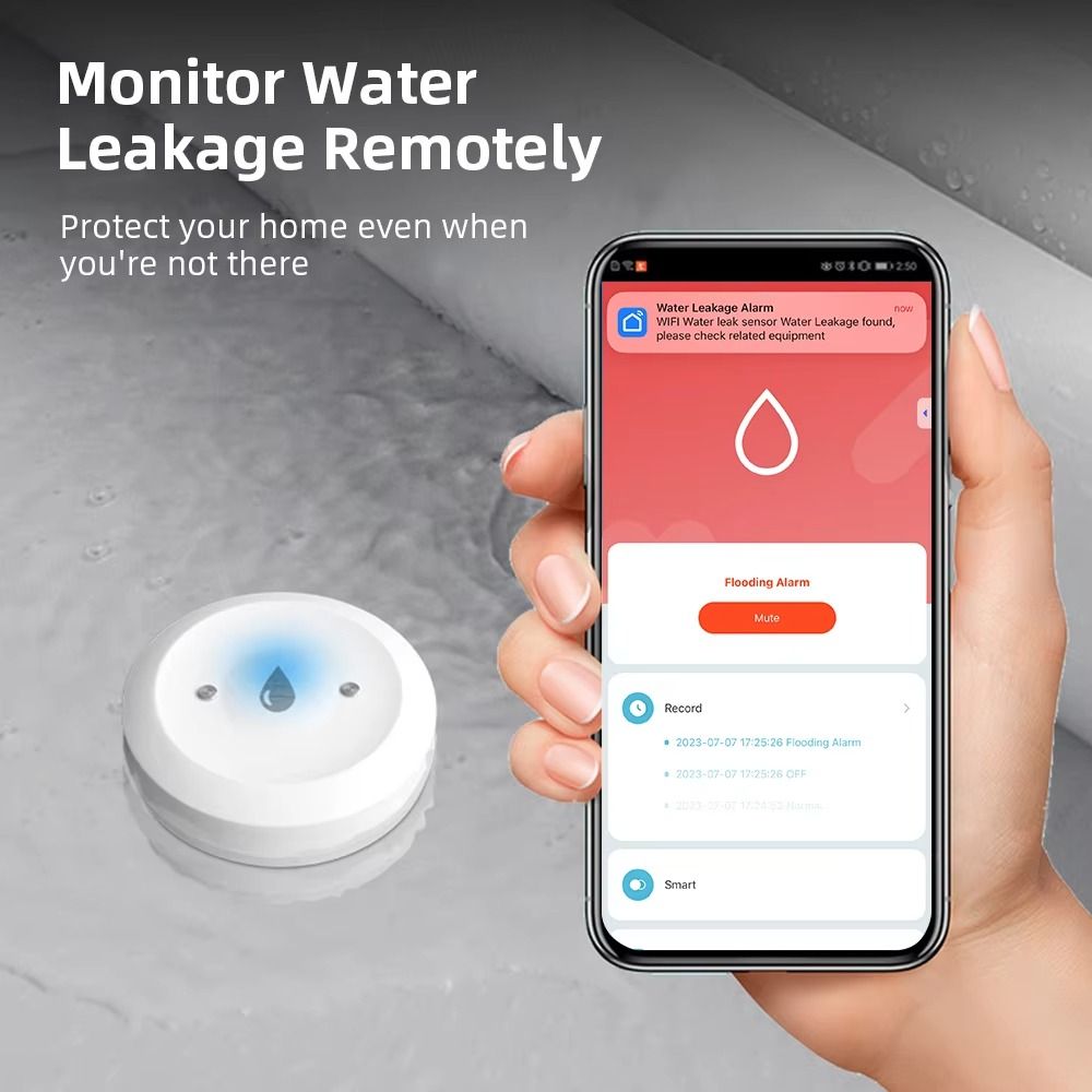 Alarmfunktion ZigBee Wassersen – Smart Home Zigbee 3.0 Bewertung und Preis